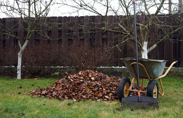 fallen autumn leaves with a rake in the garden of a country house.