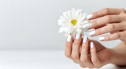 Elegant Hands Holding a White Daisy Flower.