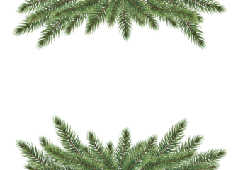 Hand-painted watercolor illustration of lush green fir tree branches forming a decorative border on a white background with copy space, classic holiday concept