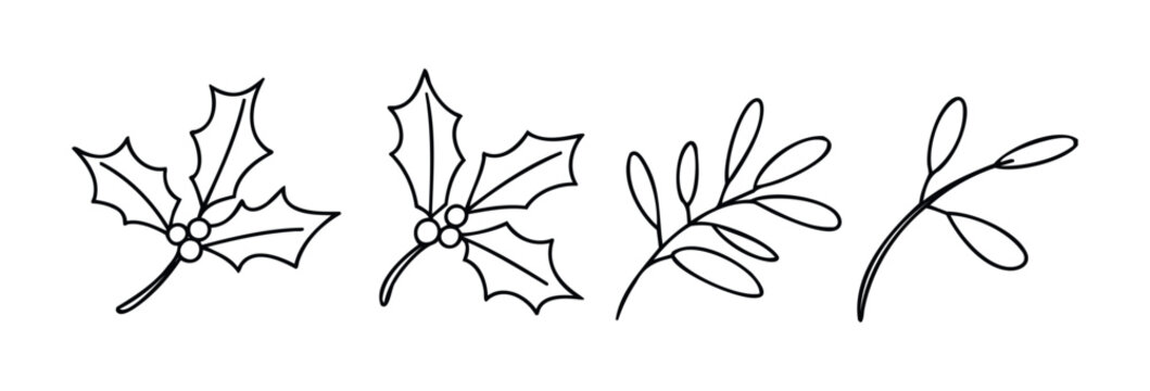 Decorative hand drawn outline holly leaves with berries and simple branch sprigs for festive holiday embellishment and seasonal greeting projects