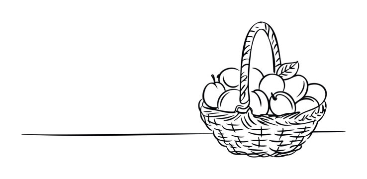 Simple line drawing of a woven basket overflowing with fresh fruit and a single leaf, perfect for food and harvest themes