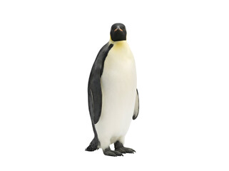 Fototapeta premium A realistic penguin figurine with a black and white body and yellow accents standing upright on a plain background