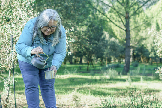 Senior woman pouring hot tea from kettle into mug while relaxing outdoors on a peaceful forest camping break