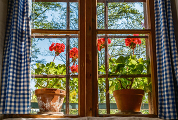 Bright sunny day with potted plants by the window in a cozy room surrounded by nature in the mountains
