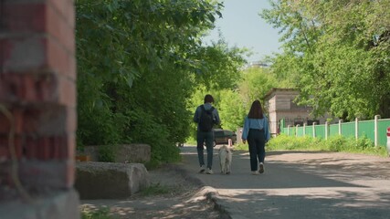 youthful learners converse outdoors, group of students enjoy relaxed conversation alongside natural surroundings, gathering of youthful students sharing informal moments near roadside setting