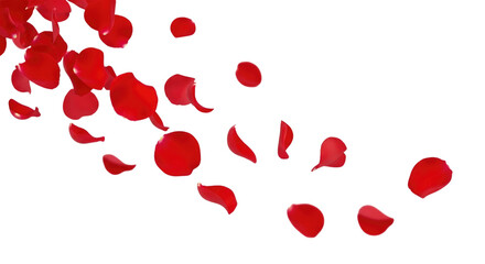Red rose petals falling transparent background cutout png