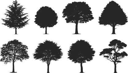 Large tree silhouette collection, various deciduous and evergreen forest species, nature, and organic graphic set