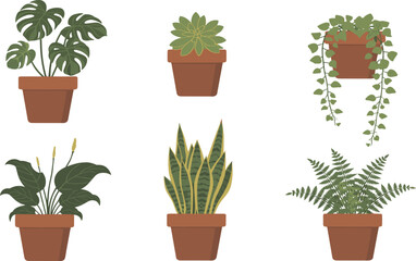 Potted house plants set, indoor decorative foliage, Monstera, Peace Lily, Snake Plant, gardening vector
