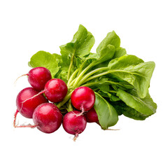 Vibrant Fresh Radishes with Green Tops on White Background for Food Photography