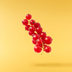 Fresh Ripe Red Currant berries falling in the air isolated on yellow background