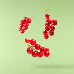 Fresh Ripe Red Currant berries falling in the air isolated on green background