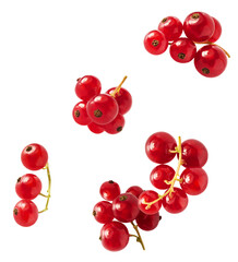 Fresh Ripe Red Currant berries falling in the air isolated on white background