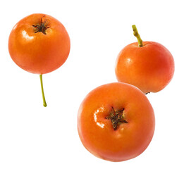 Fresh ripe ashberry falling in the air isolated on white background