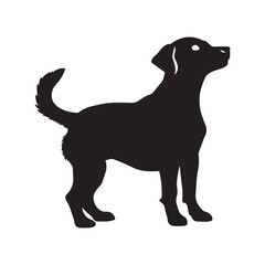 black dog silhouette on white background