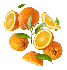 Fresh juicy orange slices floating on a white background. Creative citrus levitation concept for healthy food, summer vibes, advertising, packaging, and design projects.