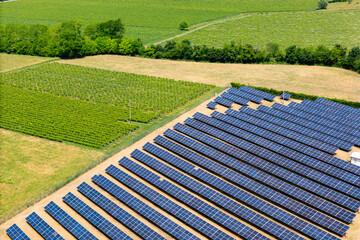 Fototapeta premium Sustainable agriculture and solar energy meet in Verona province. Part of Europe renewable energy transition effort