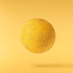 Fresh ripe Galia Melon falling in the air isolated on yellow background