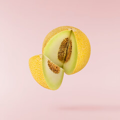 Fresh ripe Galia Melon falling in the air isolated on pink background