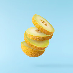 Fresh ripe Galia Melon falling in the air isolated on blue background
