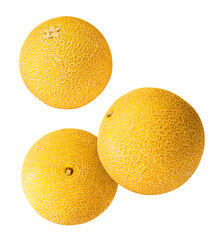 Fresh ripe Galia Melon falling in the air isolated on white background