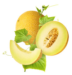 Fresh ripe Galia Melon with green leaves falling in the air isolated on white background