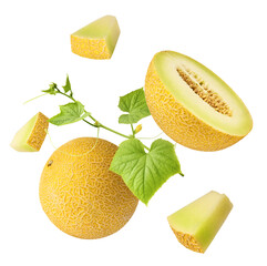 Fresh ripe Galia Melon with green leaves falling in the air isolated on white background