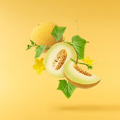 Fresh ripe Galia Melon with green leaves falling in the air isolated on yellow background