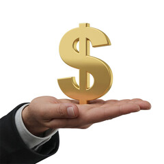Hand Holding Dollar Sign Financial Support.png