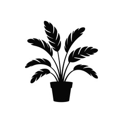  potted Bird of Paradise plant against, silhouette vector design on a white background