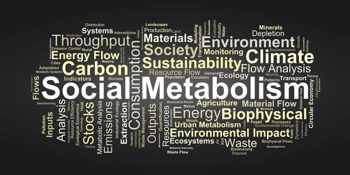 Social Metabolism Word Cloud. Core Terms on Resource Flows and Environmental Impacts
