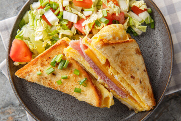 Hot sandwich with egg omelet, cheese and ham close-up in a plate on the table. Horizontal top view from above