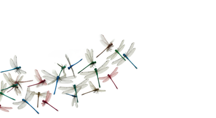 Dynamic swarm of vibrant blue, green, red dragonflies with translucent wings, ascending gracefully against a transparent background, copy space, concept of freedom and aspiration