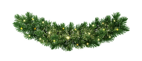 christmas tree branches isolated on white