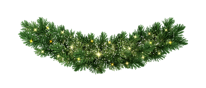 christmas tree branches isolated on white