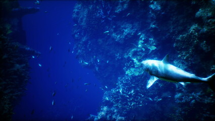 Fototapeta premium A sleek shark swims gracefully through deep blue waters, surrounded by a lively coral reef. Small fish dart around, creating a vibrant scene beneath the oceans surface.