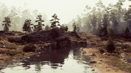 Gentle waters of the river reflect the soft morning light as trees stand tall along the banks. A peaceful atmosphere envelops the landscape, inviting tranquility and reflection.