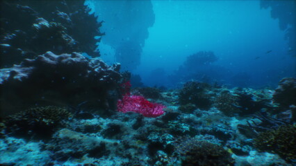 Colorful corals and diverse marine life fill the underwater scene, where sunlight filters through the clear blue waters, creating a serene atmosphere.