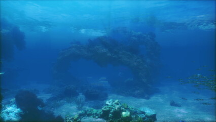 A serene underwater scene showcasing a diverse coral reef ecosystem. Colorful corals, fish, and marine plants thrive in blue waters, creating a vibrant underwater habitat.
