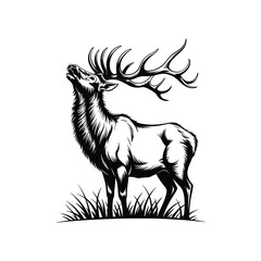 Elk standing in tall grass, silhouette vector design on a white background