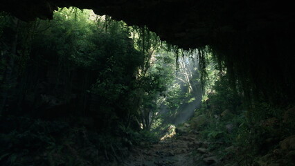 A hidden cave reveals a tranquil scene filled with vibrant greenery and soft beams of light from above. The forest is alive with the sounds of nature, inviting exploration and adventure.