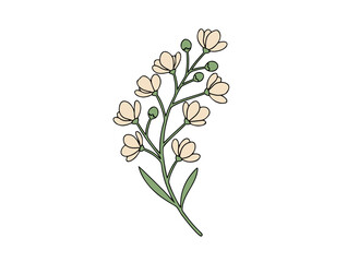 Delicate Pale Pink Wildflower Branch With Green Leaves Isolated On Black Background Simple Elegant Botanical Illustration