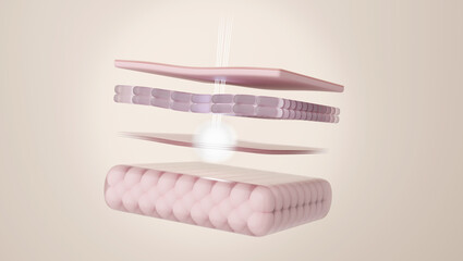 Deep Skin Layer Laser Energy for Lifting and Sagging Correction, 3D Illustration