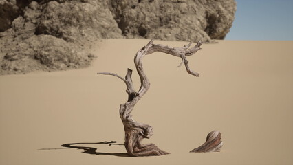 A unique, twisted piece of driftwood stands in the golden sand, casting an intriguing shadow. Surrounding rocks and the vast sky create a serene desert landscape highlighting natures artistry.