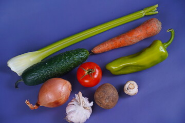Various vegetables are laid out on the table: celery, carrot, cucumber, tomato, potato, mushrooms,...