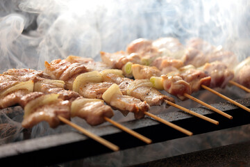 焼鳥｜japanese cuisine Yakitori