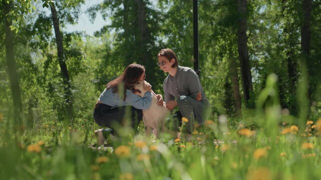 white couple with golden retriever smiling on grass, gentle petting and training cues, outdoor meadow with dandelions, supportive gestures, leash present, natural light, calm cooperative dog behavior,