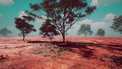Obraz premium A wide red earth stretches into the distance, with scattered green trees providing shade. The sky is bright with fluffy clouds, creating a peaceful scene in nature.