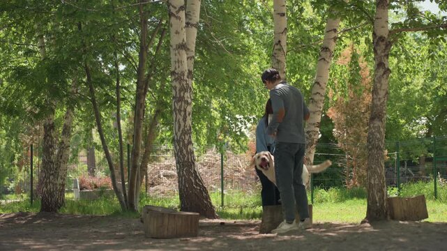 pair trains white dog on natural logs outdoors, duo practices canine agility on forest logs under sunlight, two individuals teach their white dog to stay balanced on logs amid sunlight and trees