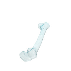 Human Bone 3d render wire frame