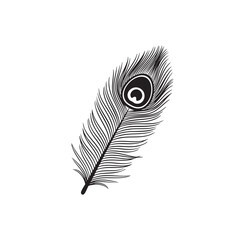 Obraz premium Best peacock feather silhouette vector art illustration